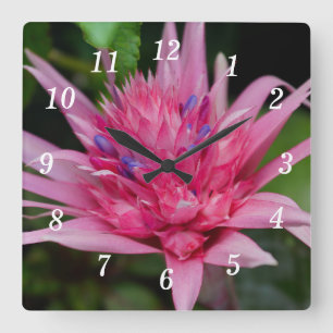 Pink Beauty Wall Clock Quadratische Wanduhr