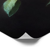 Pink Bee Balm Blume Art Print Poster (Ecke)