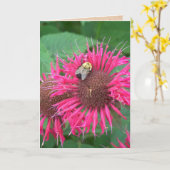 Pink Bee Balm Blume und Honey Bee Karte (Gelbe Blume)