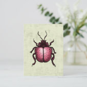 Pink Beetle Niedlich Bug Art - Insekten Lover Postkarte (Stehend Vorderseite)