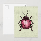 Pink Beetle Niedlich Bug Art - Insekten Lover Postkarte (Vorne/Hinten)