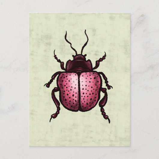 Pink Beetle Niedlich Bug Art - Insekten Lover Postkarte (Vorderseite)