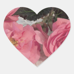 Pink Begonia Blume Stickers