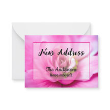 Pink Begonia New Address Ankündigung