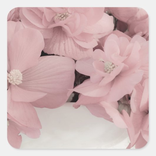Pink Begonias Quadratischer Aufkleber (Vorderseite)