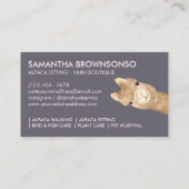 Pink Beige Niedlich Alpaca Visitenkarte (Rückseite)