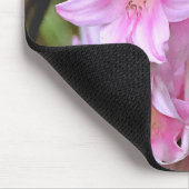 Pink Belladonna Lilies Mousepad (Ecke)