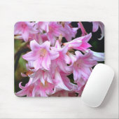 Pink Belladonna Lilies Mousepad (Mit Mouse)