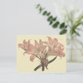 Pink Belladonna Lily Botanische Illustration Postkarte (Stehend Vorderseite)