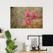 Pink Bellblumen Poster (Heimbüro)