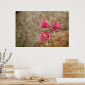 Pink Bellblumen Poster (Küche)