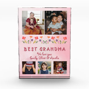Pink Best Oma Blume Blumenfamilie Fotoblock