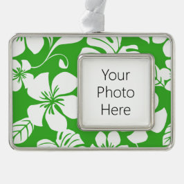 PINK BIKINI (CITRUS GREEN) Rahmen-Ornament SILBER