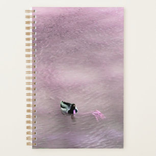 Pink Billed Duck on Water Planer