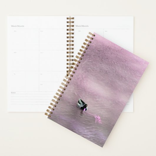 Pink Billed Duck on Water Planer (Anzeige)