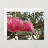 Pink Birdie Postkarte (Vorne/Hinten)