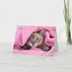 Pink Blankie Thinking of You Cat/Kitten Card Karte