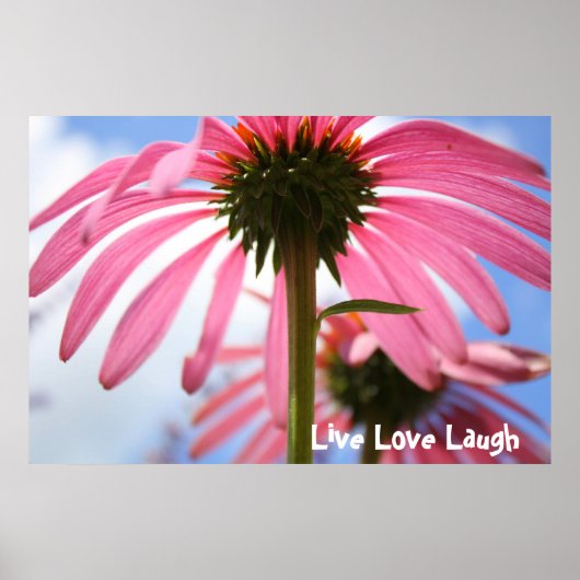 Pink-Blätter Poster (Vorne)