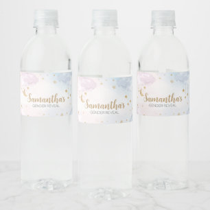 Pink Blau Funkelnder Kleiner Stern Geschlecht Enth Wasserflaschenetikett