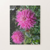 Pink Blooming Dahlia Blume Puzzle (Vertikal)