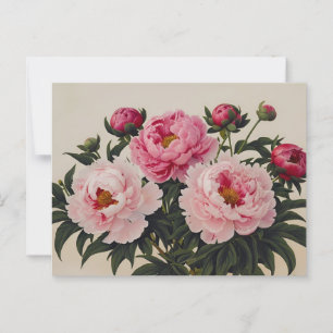 Pink Blooming Peony Blume Bouquet Postkarte