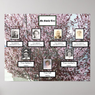 Pink Blossom Drei-Generationen-Familien-Stammbaum- Poster