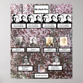 Pink-Blossom-Familienbaumposter der vier Generatio Poster