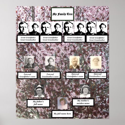 Pink-Blossom-Familienbaumposter der vier Generatio Poster (Vorne)