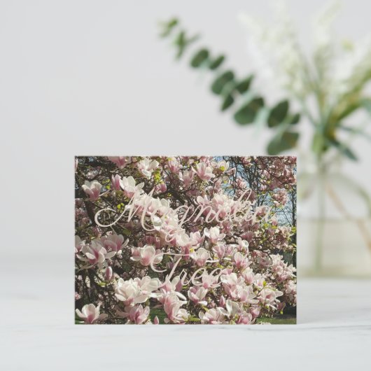 Pink Blossom Magnolia Tree Blumenfotografie Postkarte (Stehend Vorderseite)