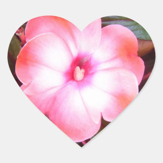 Pink Blossom Stickers (Vorderseite)