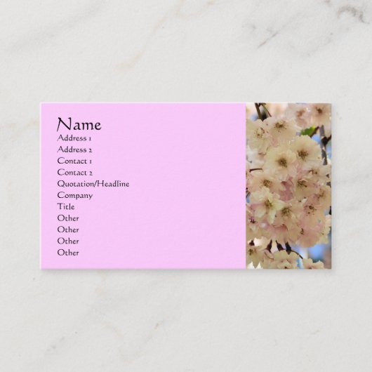 Pink Blossoms Flower Fotografy Business Card Visitenkarte (Vorderseite)