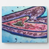 Pink Blue Faith Glitzer Herzlich Willkommen Kunstd Fotoplatte (Vorderseite)