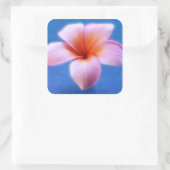 Pink & Blue Plumeria Frangipani Hawaii Blume Quadratischer Aufkleber (Tasche)