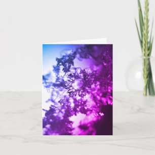 Pink blue purple floating snowflake notecard feiertagskarte