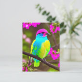 Pink Blue Yellow Green Fantasy Bird Postcard Postkarte (Stehend Vorderseite)