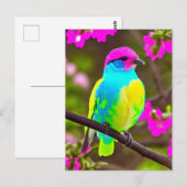 Pink Blue Yellow Green Fantasy Bird Postcard Postkarte (Vorne/Hinten)