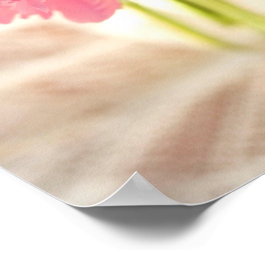 Pink Blues Value Poster Paper (Matte) (Ecke)