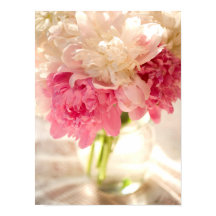 Pink Blues Value Poster Paper (Matte)