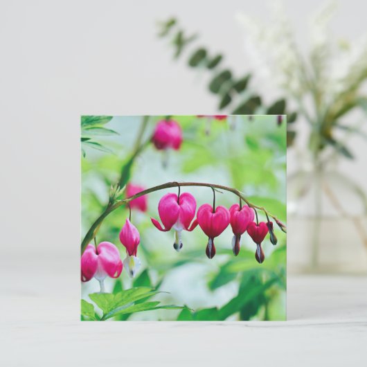 Pink Blume (Stehend Vorderseite)