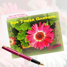 Pink Blume Bok Tower Gardens Lago Florida