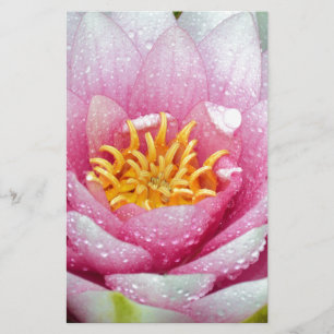 PInk-Blume Briefpapier