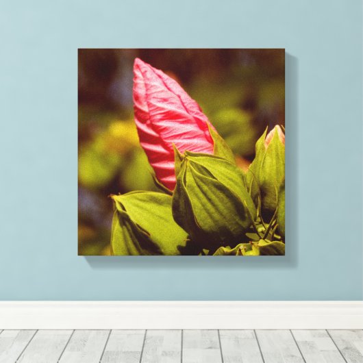 Pink Blume Bud Floral Garden Foto Single Leinwanddruck (Insitu (Holzboden))