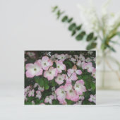 Pink Blume DICKE Postkarte (Stehend Vorderseite)