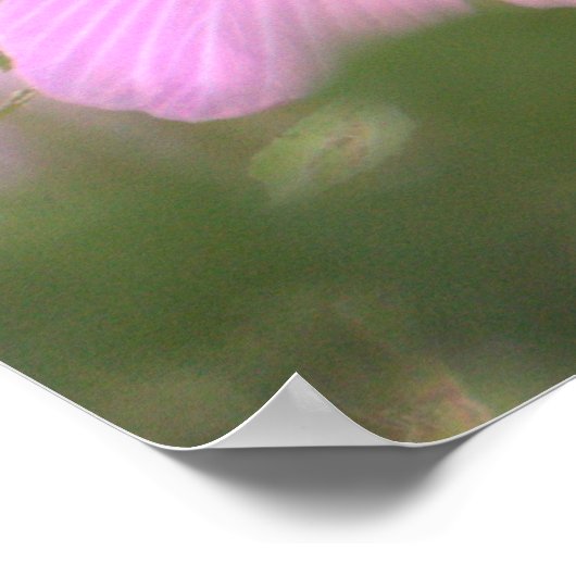 Pink Blume Foto Poster (Ecke)