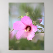 Pink Blume Foto Poster (Vorne)
