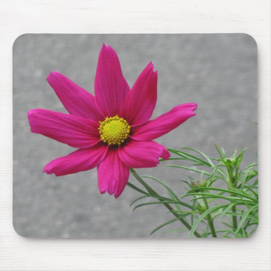 Pink-Blume Mousepad (Vorne)