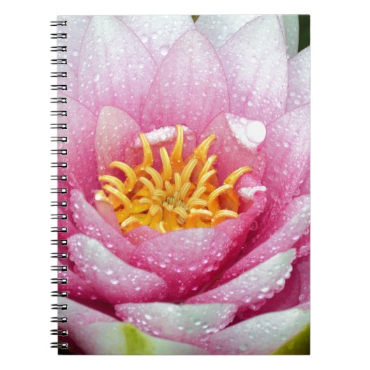 PInk-Blume Notizblock (Vorderseite)