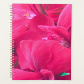 Pink-Blume-Planer Planer (Vorderseite)