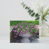 Pink Blume Planter Cards Postkarte (Stehend Vorderseite)