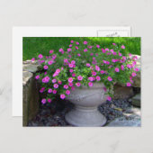 Pink Blume Planter Cards Postkarte (Vorne/Hinten)